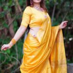Pure Katan Silk Saree with Embroidery Motifs