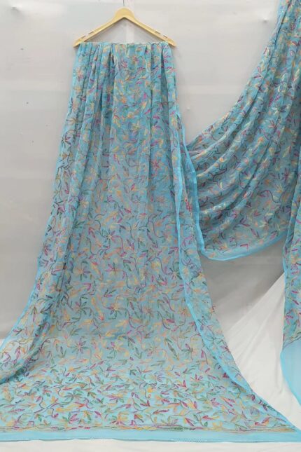 Chiffon saree with multi-color Tepchi embroidery design