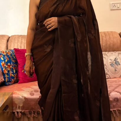"Dark Mocha Coffee Party Wear Silk Saree with hand-beadwork and embroidery"