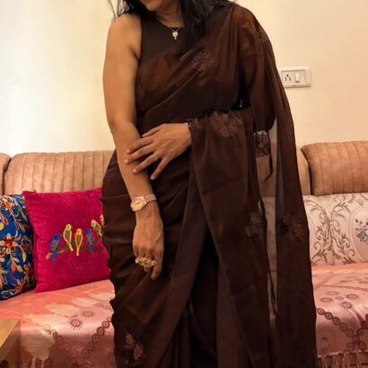 "Dark Mocha Coffee Party Wear Silk Saree with hand-beadwork and embroidery"
